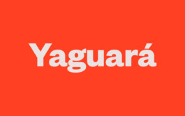 Thumbnail1 Design systems, User Interface Designer, User Experience Designer, Graphic Design, Art Direction, Code Creative, Alejandro Muñoz, Diseño, Argentina, UX / UI